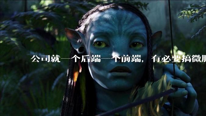 公司就一个后端一个前端，有必要搞微服务吗？