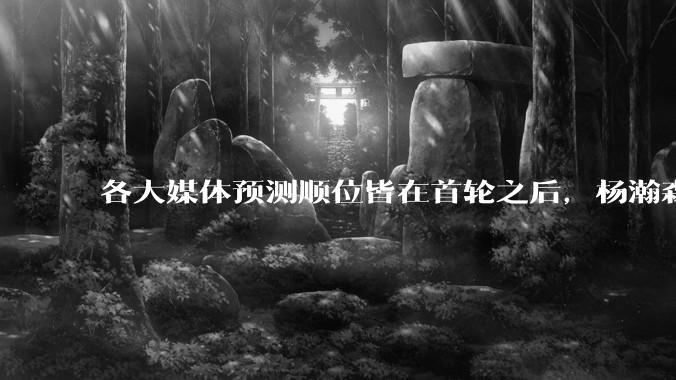 各大媒体预测顺位皆在首轮之后，杨瀚森实际顺位大涨是因为什么？