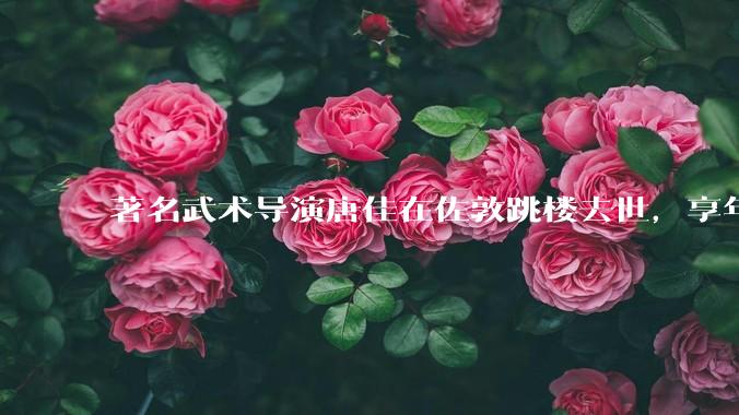 著名武术导演唐佳在佐敦跳楼去世，享年 88 岁，如何评价他的一生？