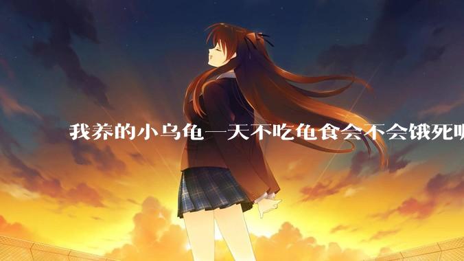 我养的小乌龟一天不吃龟食会不会饿死呢？