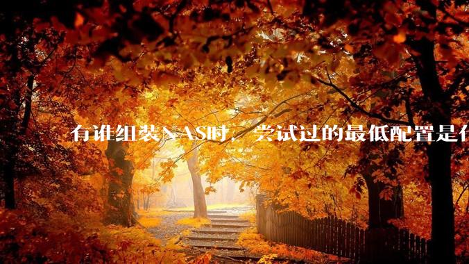 有谁组装NAS时，尝试过的最低配置是什么？