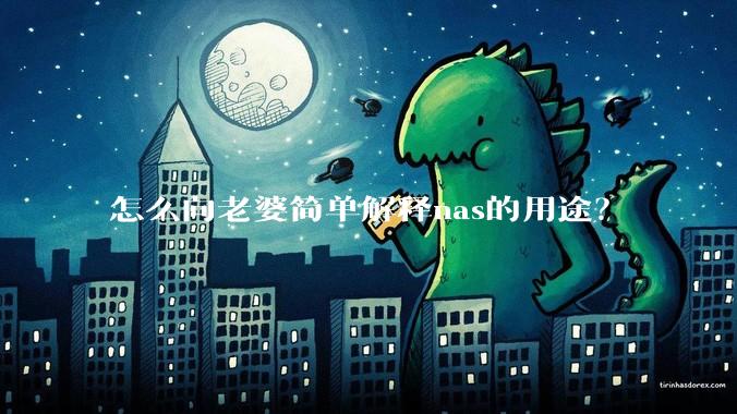 怎么向老婆简单解释nas的用途？