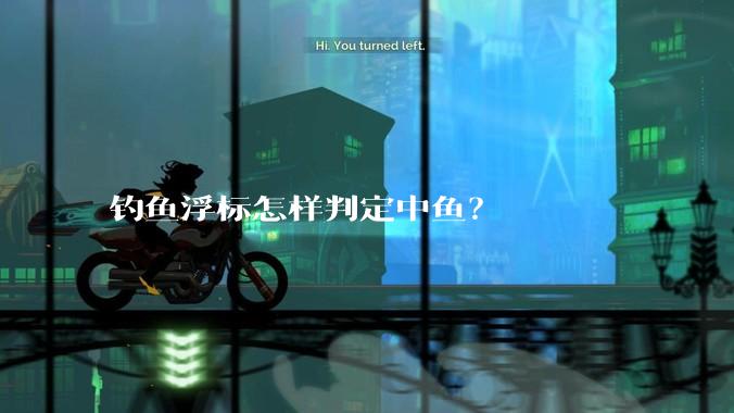 钓鱼浮标怎样判定中鱼？
