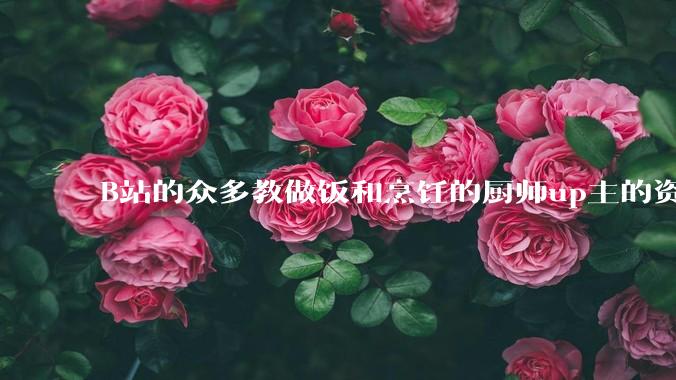 B站的众多教做饭和烹饪的厨师up主的资历与实力应如何排序？