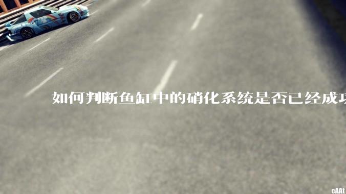 如何判断鱼缸中的硝化系统是否已经成功建立？