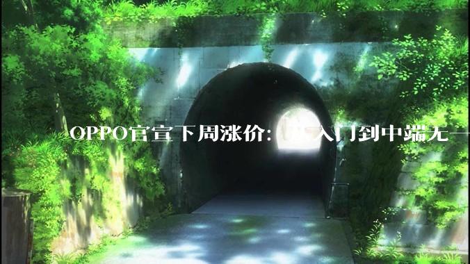 OPPO官宣下周涨价：从入门到中端无一幸免，千元机时代要结束了？_机型_Ace_旗舰