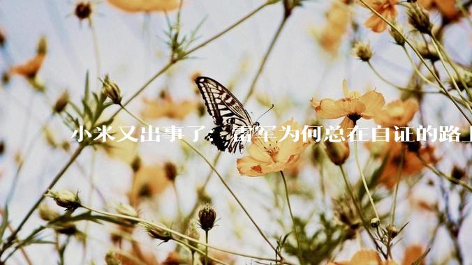 小米又出事了：雷军为何总在自证的路上_汽车_车厘子_争议