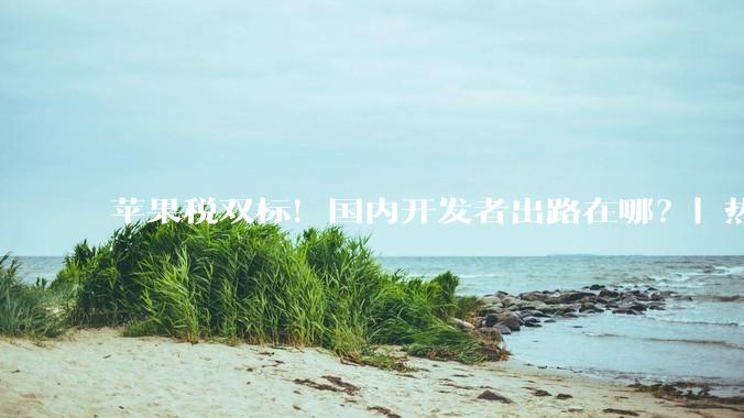苹果税双标！国内开发者出路在哪？| 热财经_中国_巴西_Store