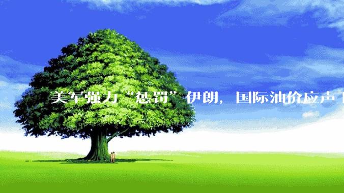 美军强力“惩罚”伊朗，国际油价应声上涨_海峡_美国_巴加