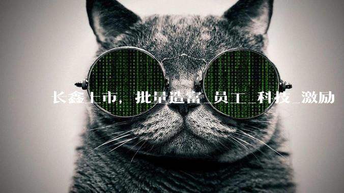 长鑫上市，批量造富_员工_科技_激励