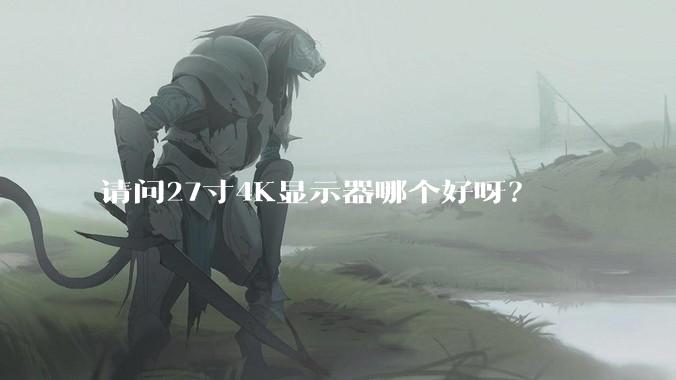 请问27寸4K显示器哪个好呀？