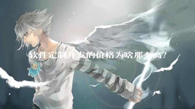 软件定制开发的价格为啥那么高？